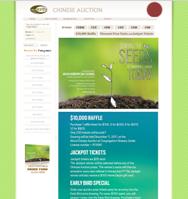 ny web design case-study