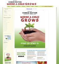 ny web design case-study