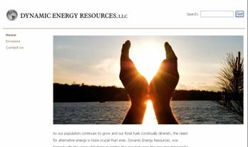 ny web design case-study