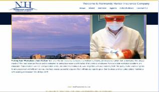 ny web design case-study