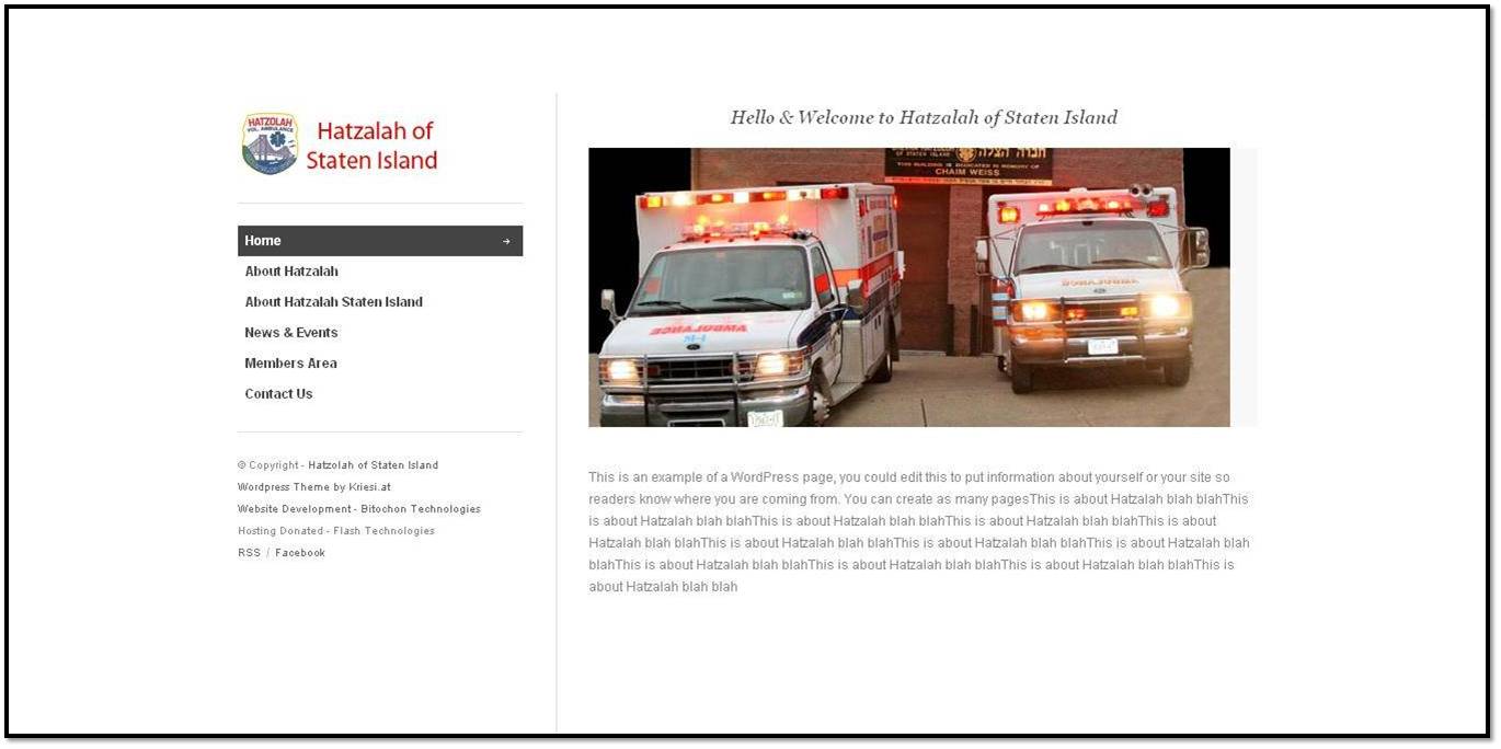 ny web design case-study