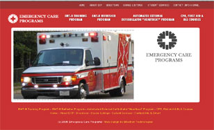 Flash  website