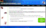 Flash  website